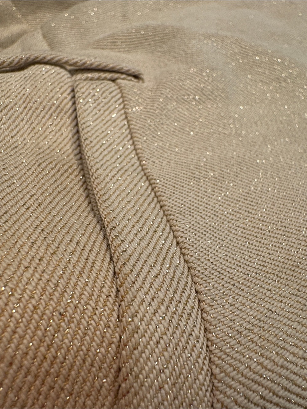 Dolce & Gabbana sparkling cigarette style pants.